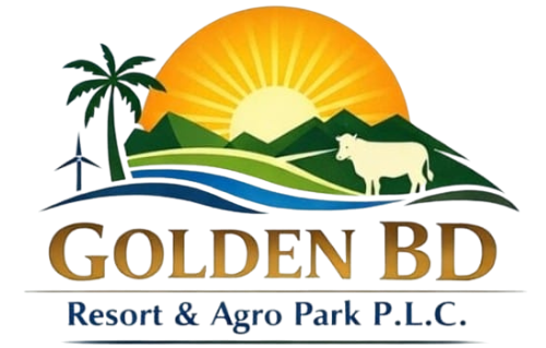 Golden BD Resort
